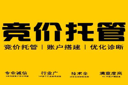 竞价托管sem案例揭秘：关键词策略的巧妙运用